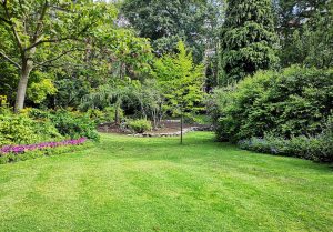 Optimiser l'expérience du jardin à Bourg-de-Visa